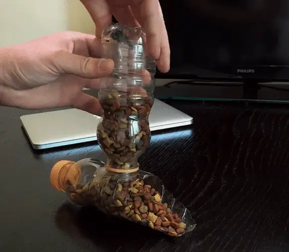 diy cat dispenser