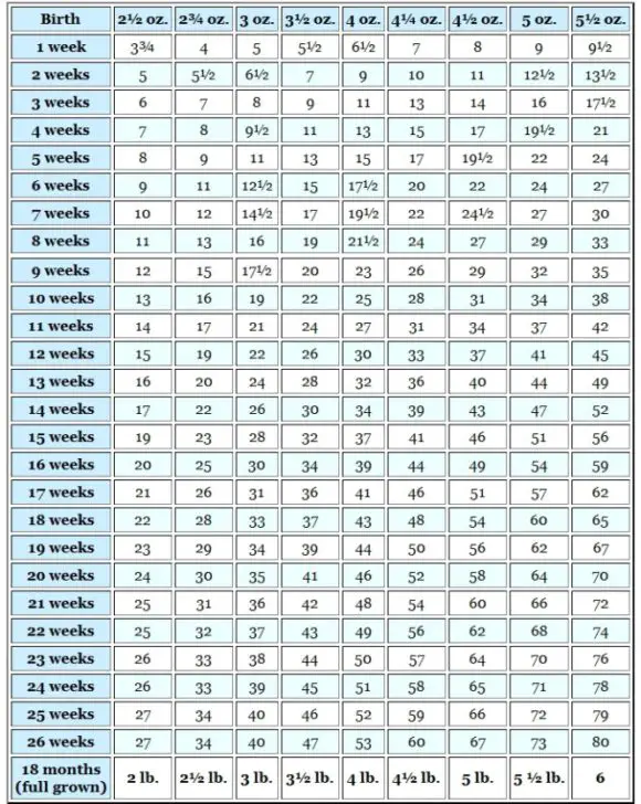 28 HQ Pictures Average Cat Weight By Age 30 Weight Height Age Charts